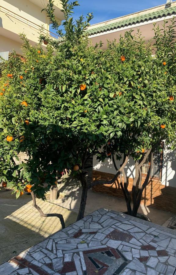 Vila Demaj! Free Parking Berat Dış mekan fotoğraf